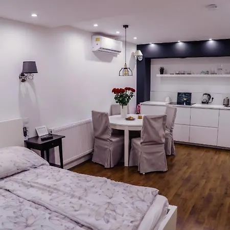White Apartment In Center Of Катовіце Екстер'єр фото