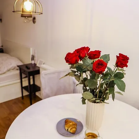 White Apartment In Center Of Катовіце Екстер'єр фото